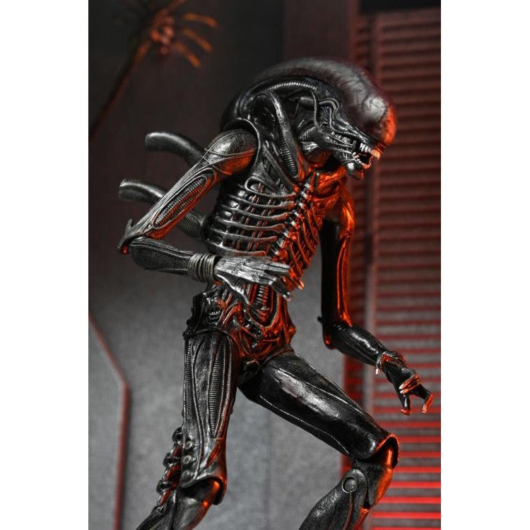 Alien: Romulus Ultimate XX121 Xenomorph Action Figure - NECA