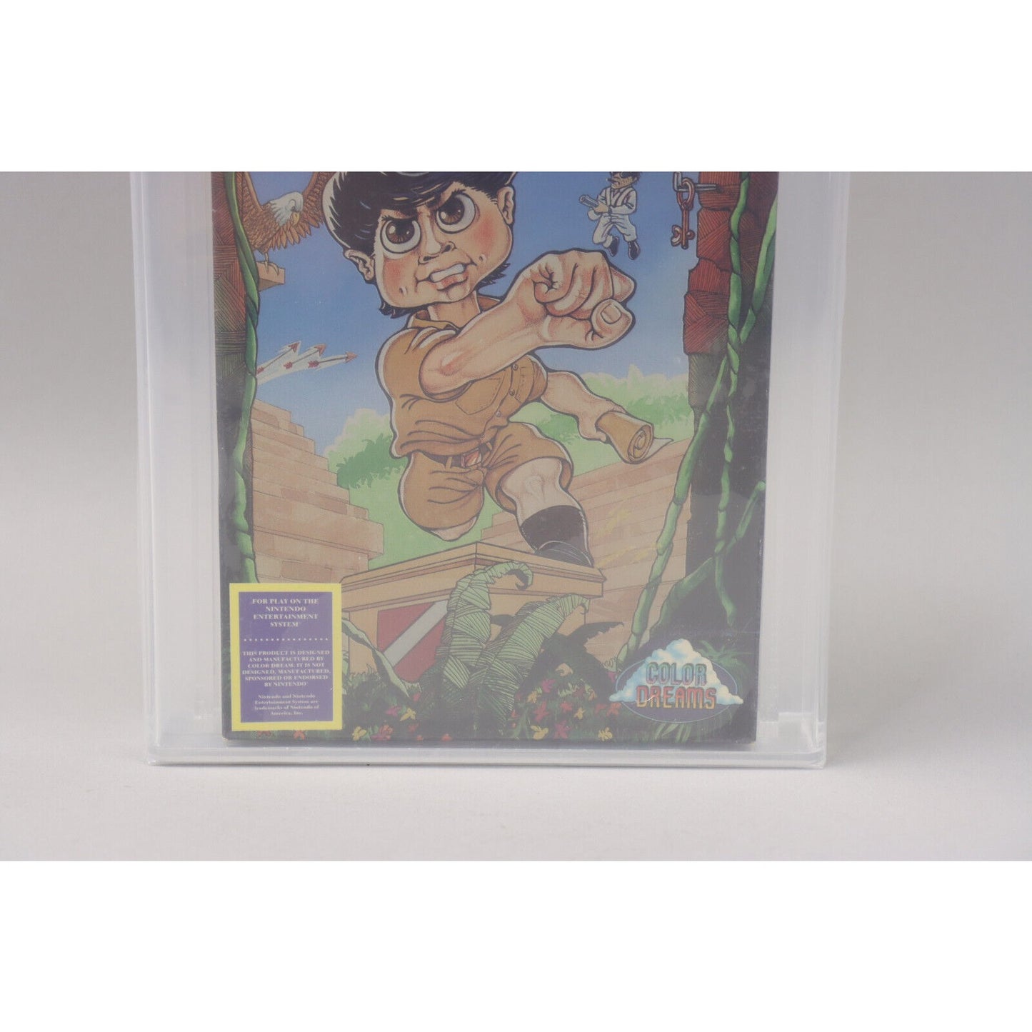 Secret Scout in the Temple of Demise NES Unlicensed 1991 Color Dreams VGA 85 NM