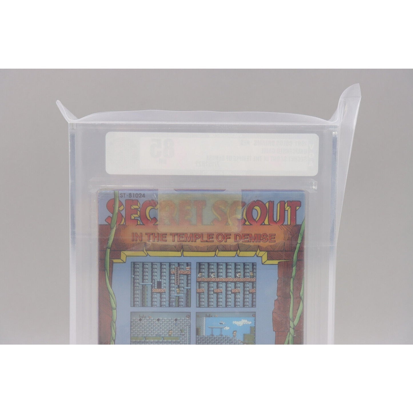 Secret Scout in the Temple of Demise NES Unlicensed 1991 Color Dreams VGA 85 NM