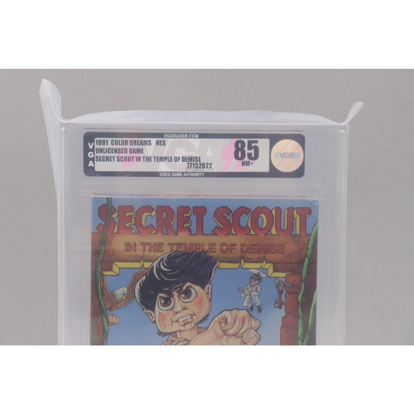 Secret Scout in the Temple of Demise NES Unlicensed 1991 Color Dreams VGA 85 NM