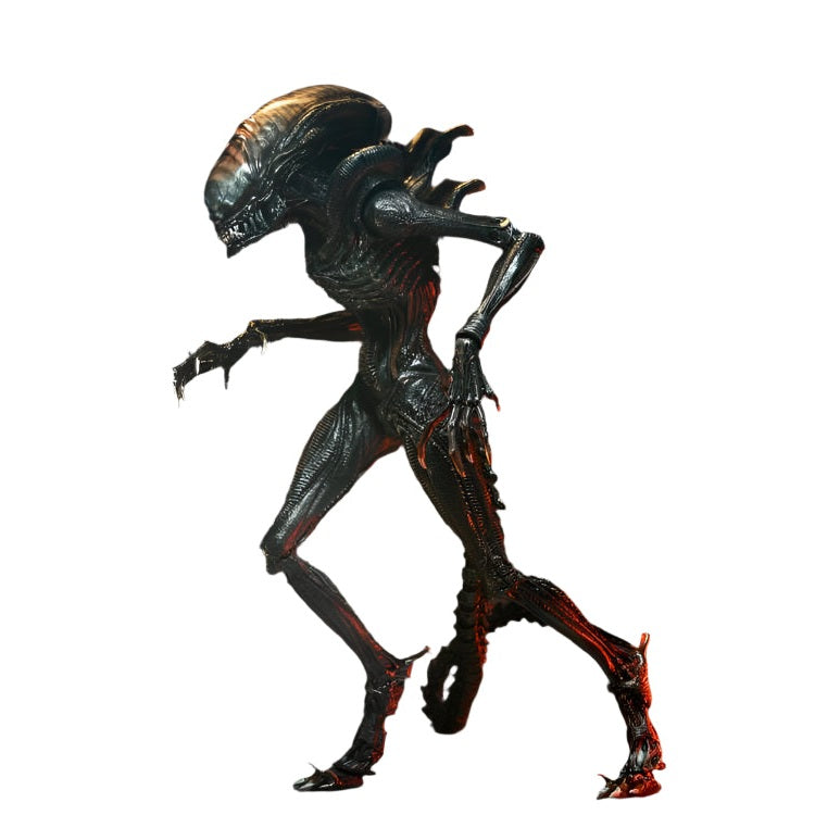 NECA – Action Figure Xenomorph Alien Romulus, 18 Cm, Collezionismo