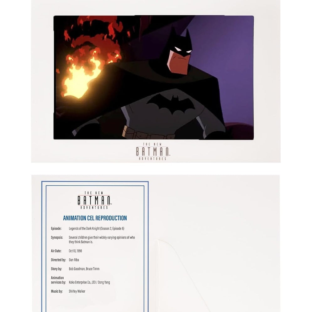 The New Batman Adventures Batman Blue/Grey Action Figure - McFarlane Toys, DC Direct