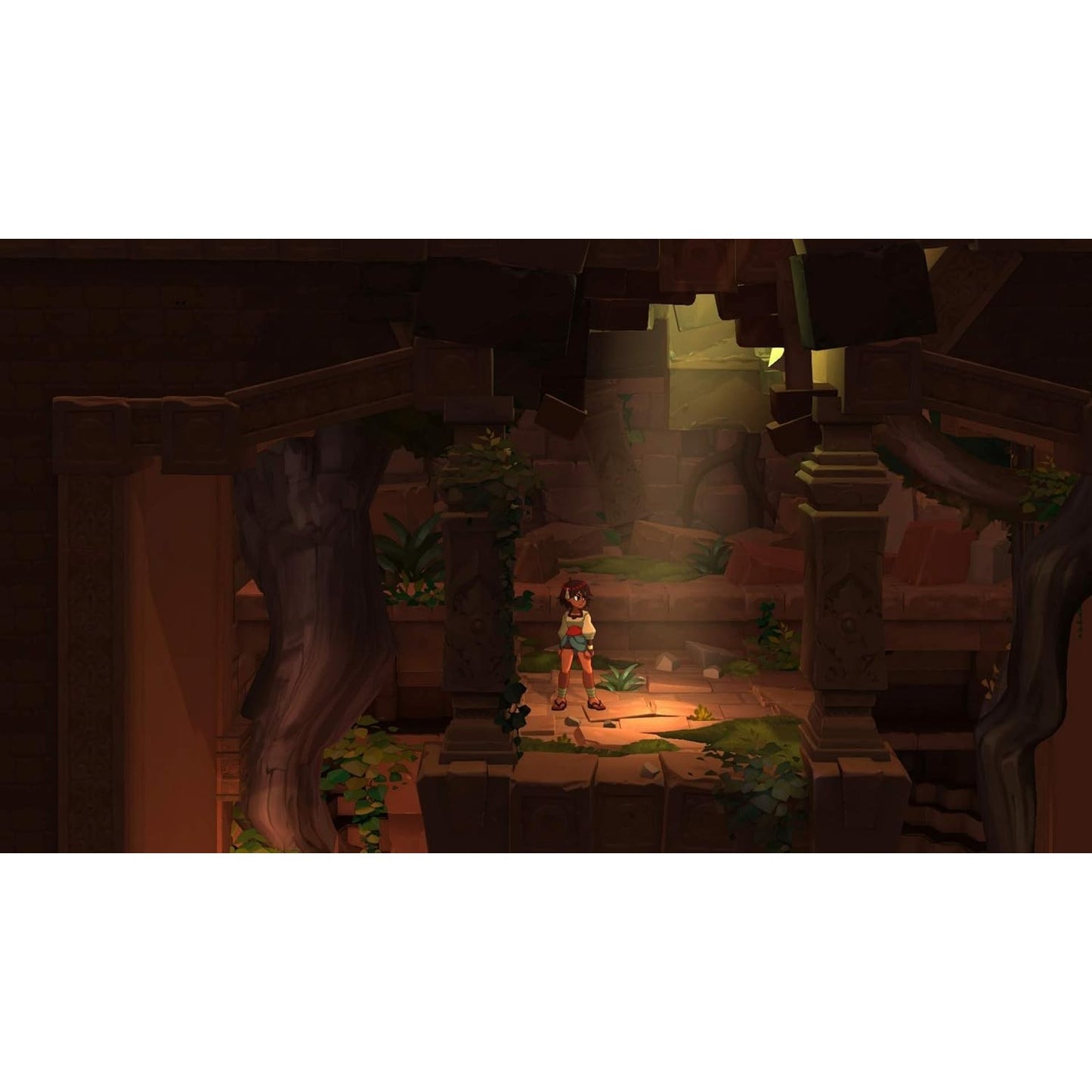 Indivisible - Nintendo Switch - 505 Games