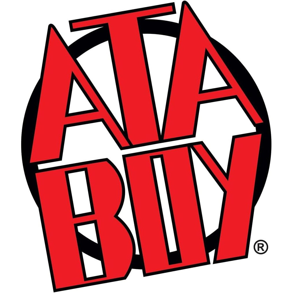 Sonic the Hedgehog Time to Fly Magnet - Ata-Boy