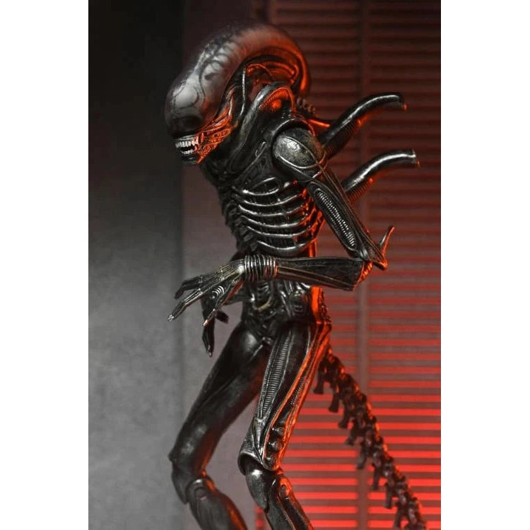 Alien: Romulus Ultimate XX121 Xenomorph Action Figure - NECA