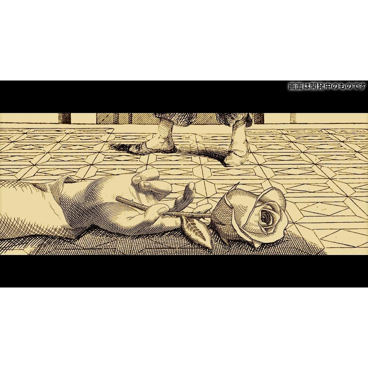 Aviary Attorney: Definitive Edition - Nintendo Switch Leoful, Japan Import, Multi-Language