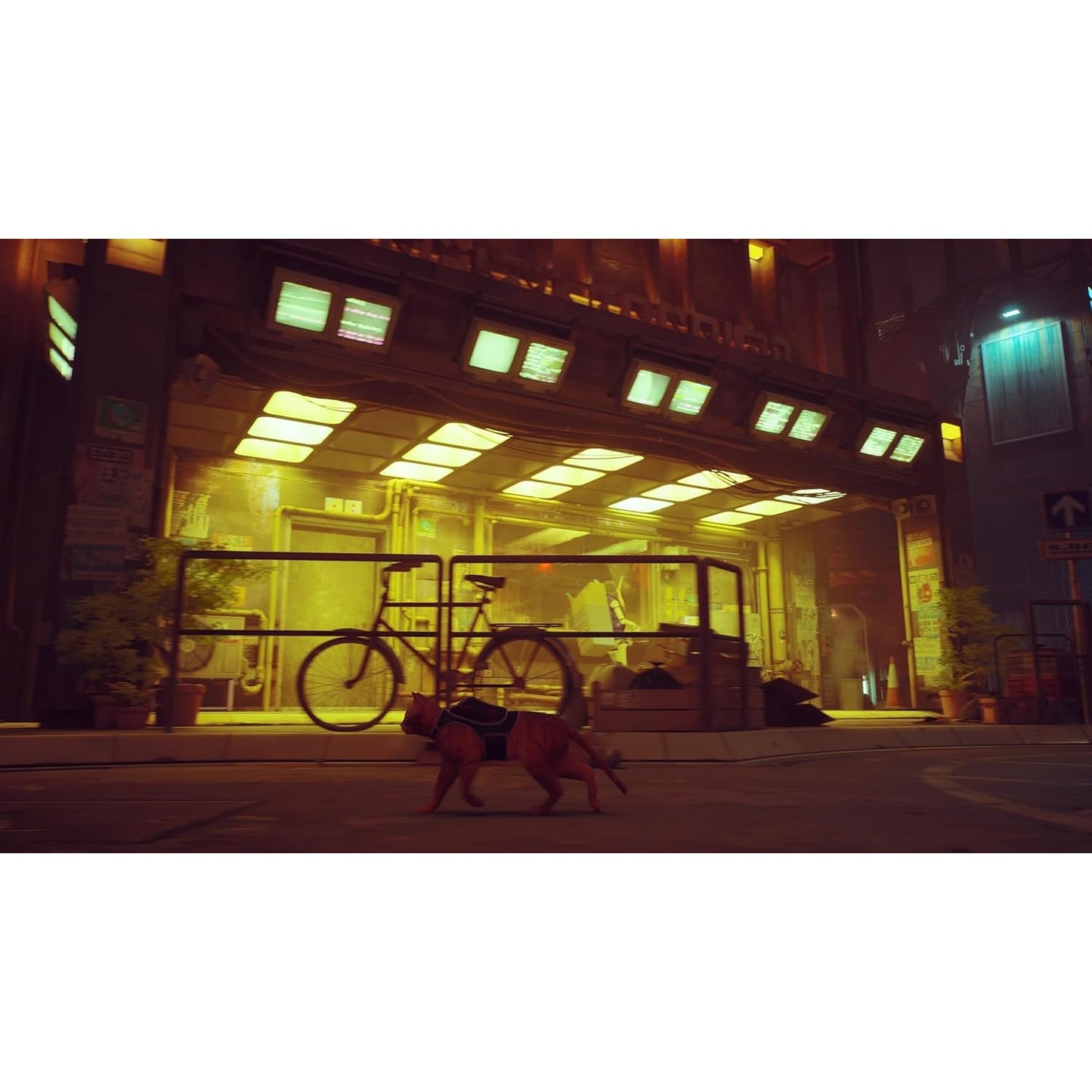 Stray - Nintendo Switch - Skybound Games