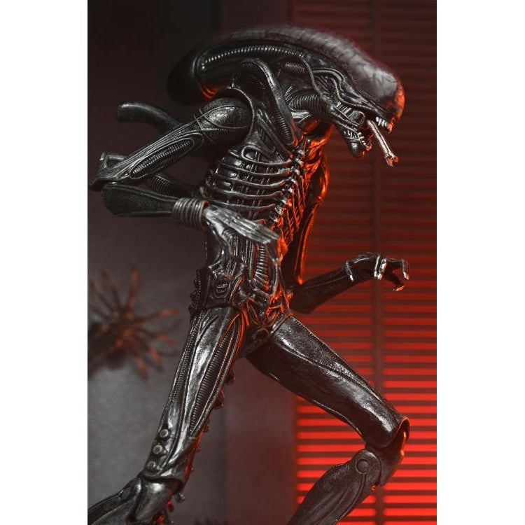 Alien: Romulus Ultimate XX121 Xenomorph Action Figure - NECA