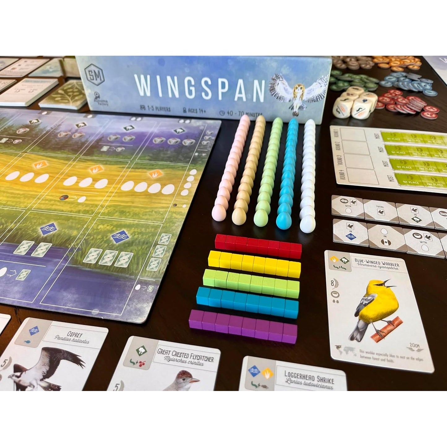 Wingspan Board Game - Stonemaier Games