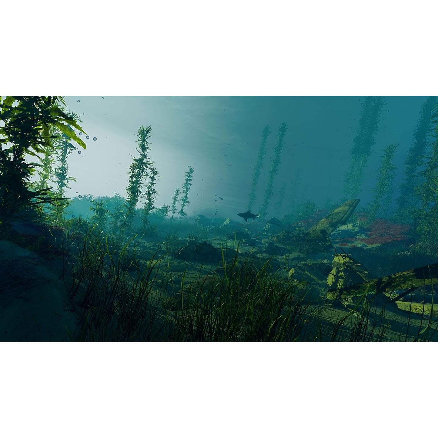 Maneater - PlayStation 4 - Deep Silver