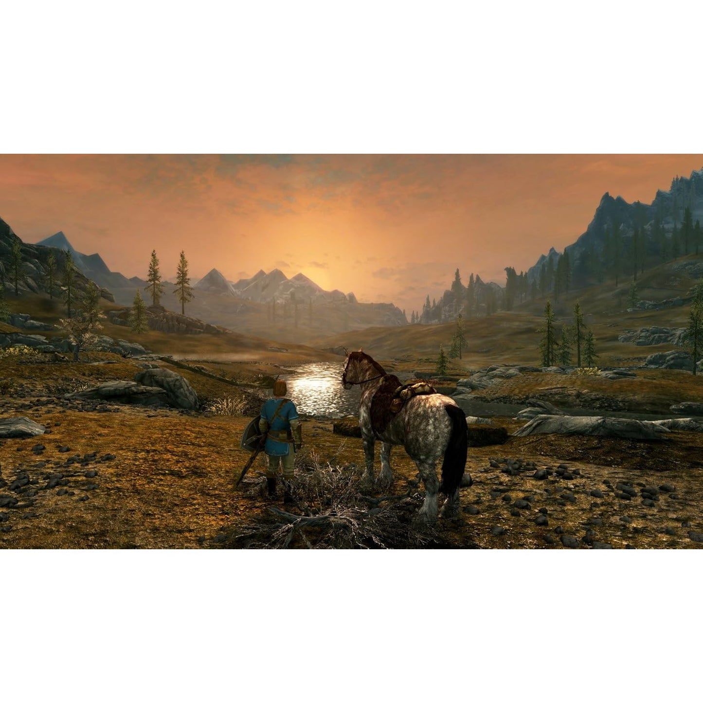 The Elder Scrolls V: Skyrim - Nintendo Switch - Bethesda