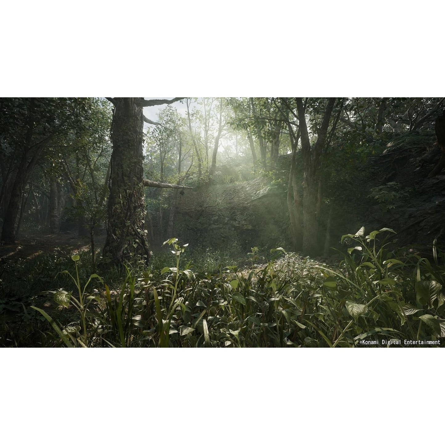 Metal Gear Solid Delta: Snake Eater Tactical Edition - PlayStation 5 - Konami