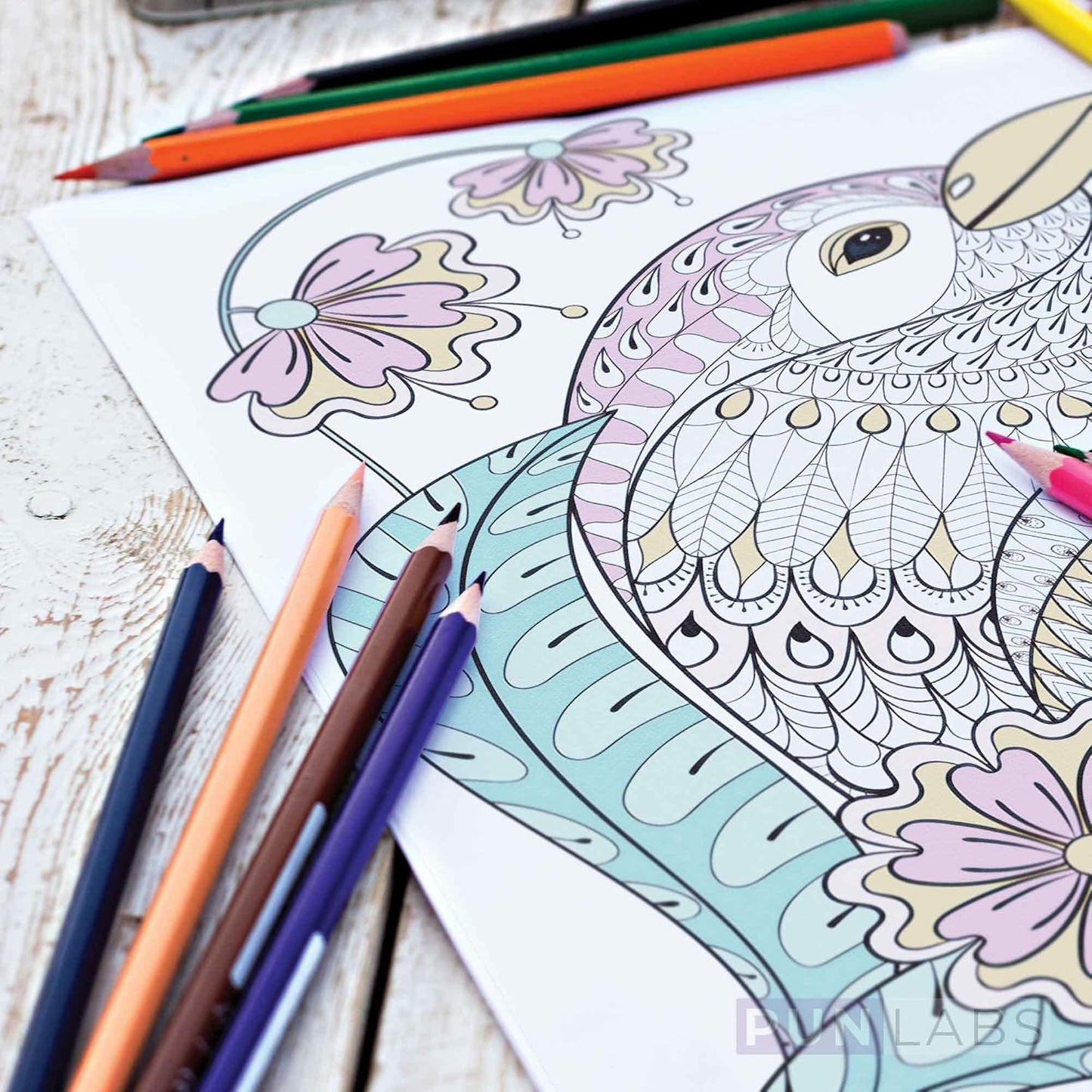 Gotta Color Them All! Colored Pencil Set - 12 Colors, Pokemon Inspired Parody - Pun Labs
