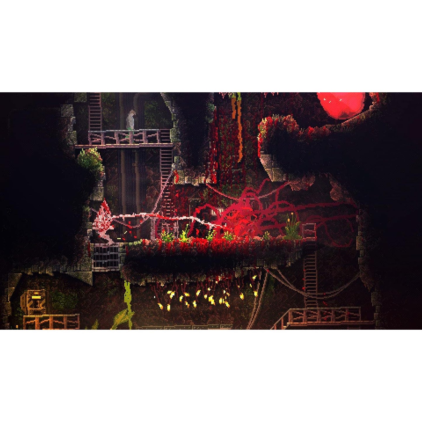 Carrion - Nintendo Switch - Devolver Digital