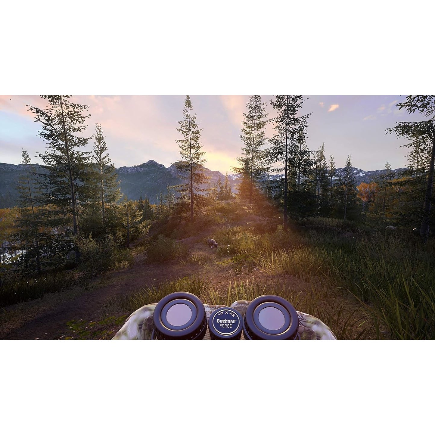 Hunting Simulator 2 - Nintendo Switch - Maximum Games