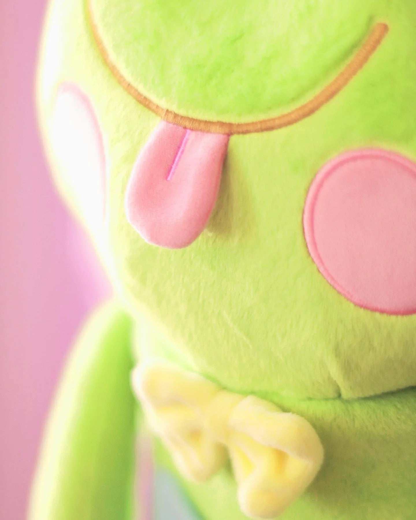 Frog Two Way Bag - Plush Backpack - Ugly Plants