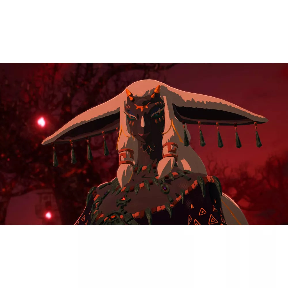 Hyrule Warriors: Age of Imprisonment - Nintendo Switch 2