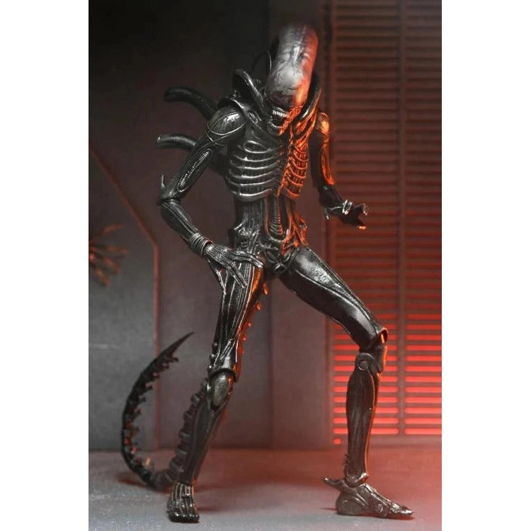 Alien: Romulus Ultimate XX121 Xenomorph Action Figure - NECA