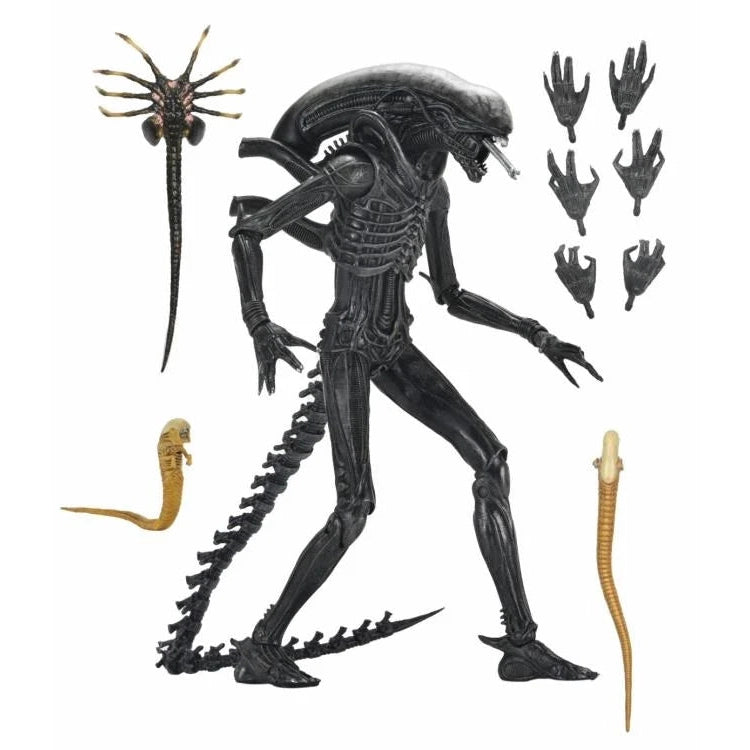 Alien: Romulus Ultimate XX121 Xenomorph Action Figure - NECA