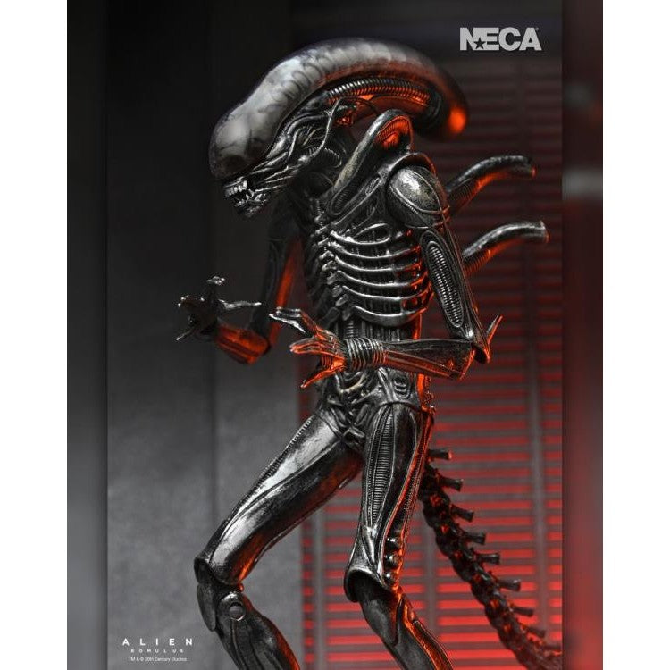 Alien: Romulus Ultimate XX121 Xenomorph Action Figure - NECA