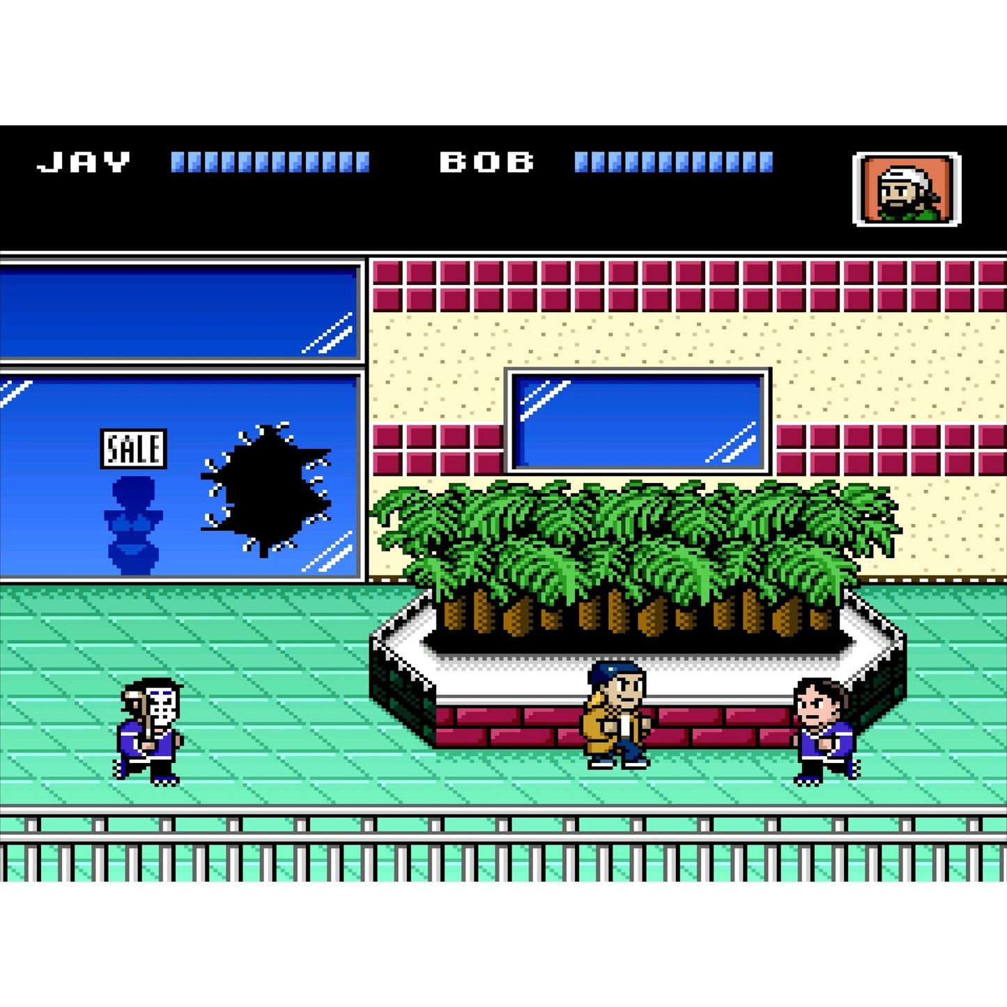 Jay and Silent Bob: Mall Brawl - PlayStation 4 - Limited Run #420