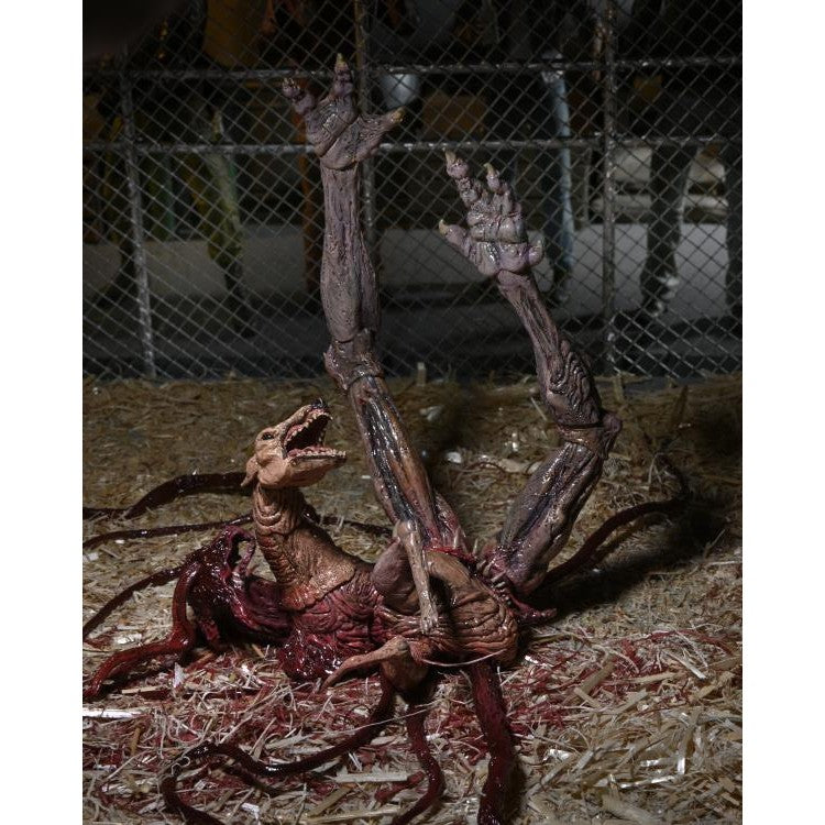 The Thing 1982 Ultimate Dog Creature Set - NECA