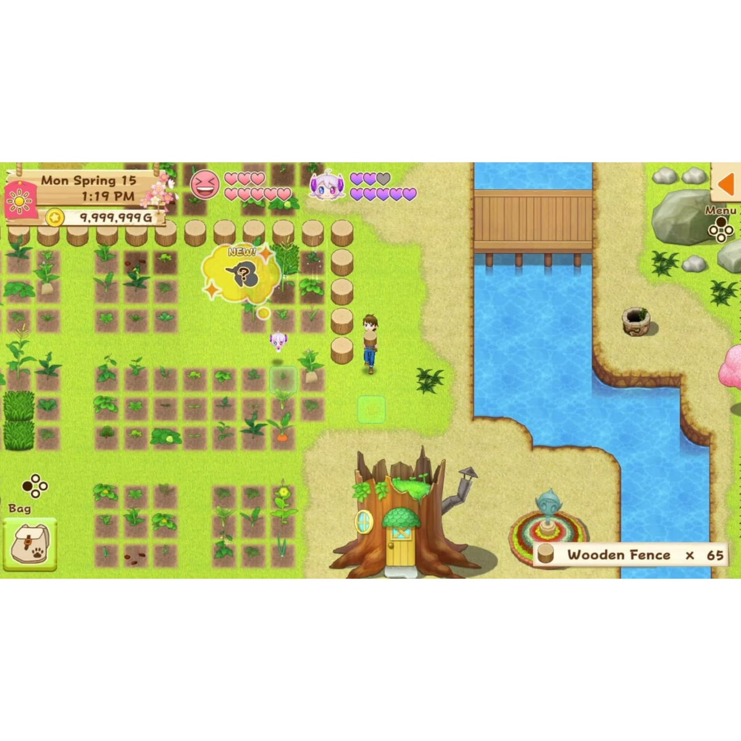 Harvest Moon: Light of Hope Special Edition - Nintendo Switch - Natsume