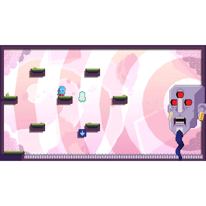 Toodee and Topdee - Nintendo Switch - Diet Zribi, Limited Run Games