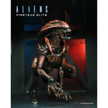 Aliens: Fireteam Elite Prowler Alien Action Figure - NECA