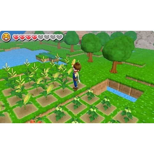 Harvest Moon: Skytree Village - Nintendo 3DS - Natsume