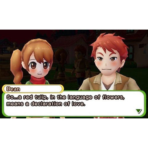Harvest Moon: Skytree Village - Nintendo 3DS - Natsume