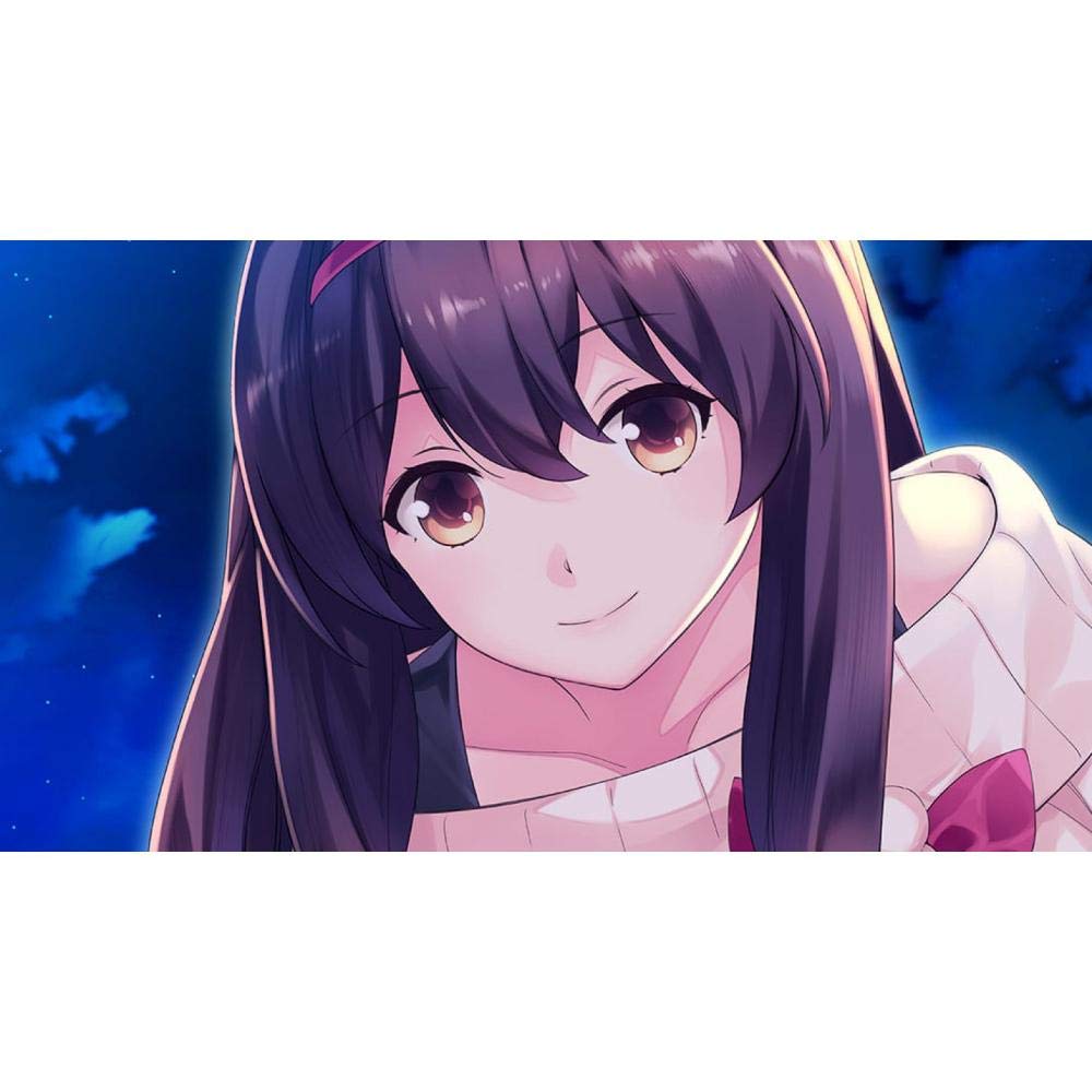 Gun Gun Pixies - Nintendo Switch - PQube