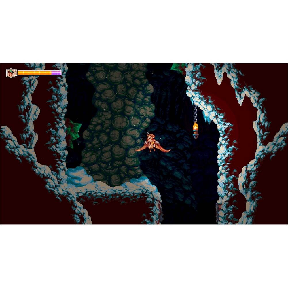 Owlboy Standard Edition - Nintendo Switch - Soedesco