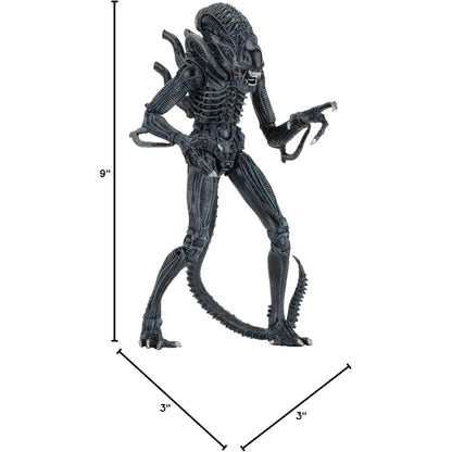 Aliens (1986) Ultimate Warrior Blue Alien 7" Scale Action Figure - NECA