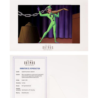The New Batman Adventures The Riddler Action Figure - McFarlane Toys, DC Direct
