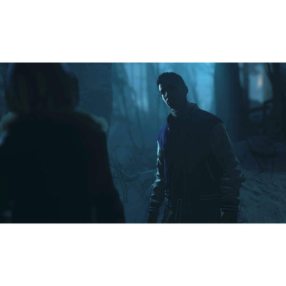 Until Dawn PlayStation Hits - PlayStation 4