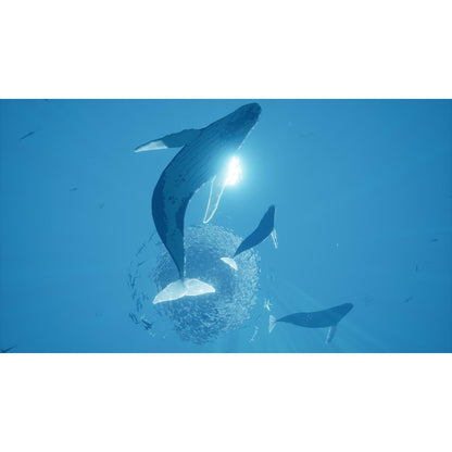 ABZÛ - Xbox One - 505 Games