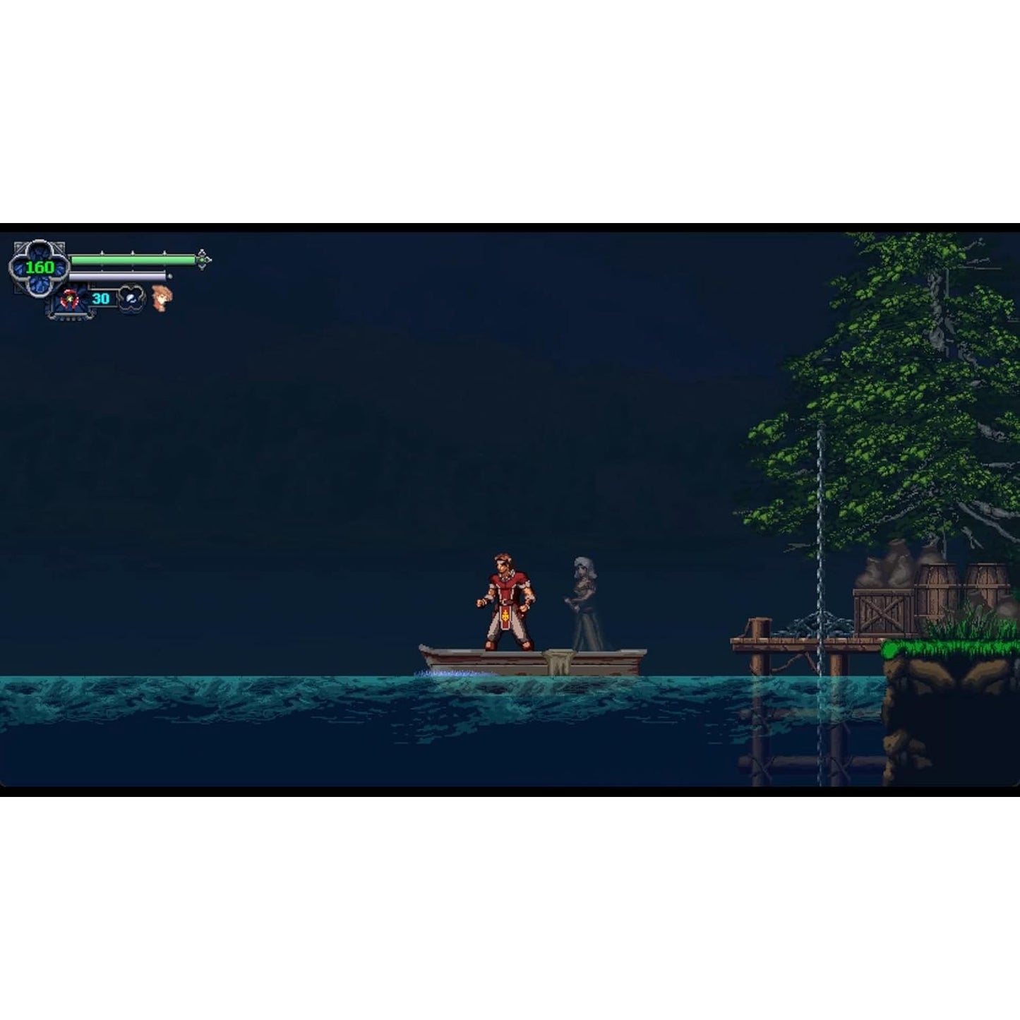 Chronicles of the Wolf - Nintendo Switch - PQube