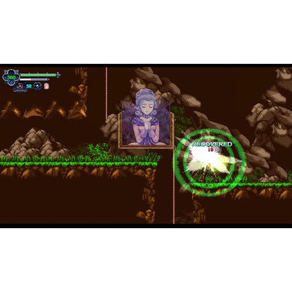 Chronicles of the Wolf - Nintendo Switch - PQube