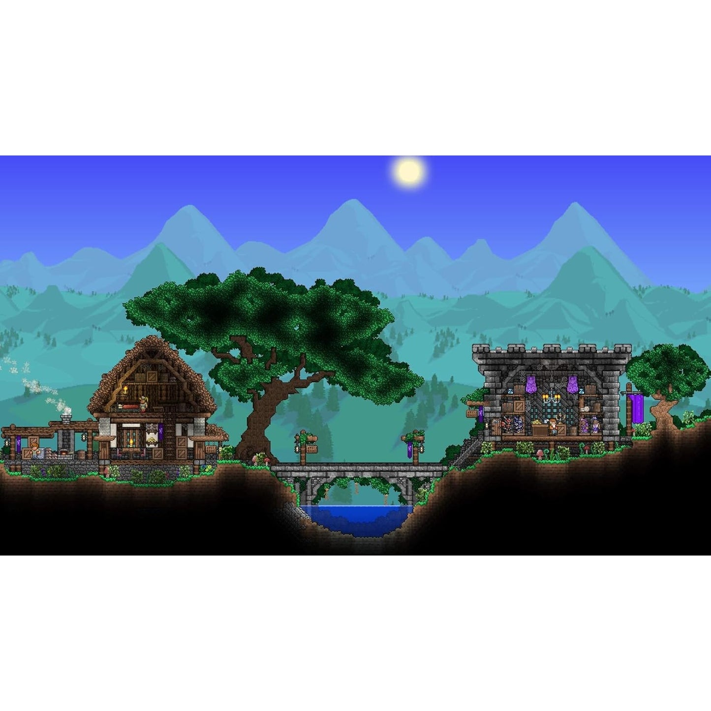 Terraria - Nintendo Switch - 505 Games