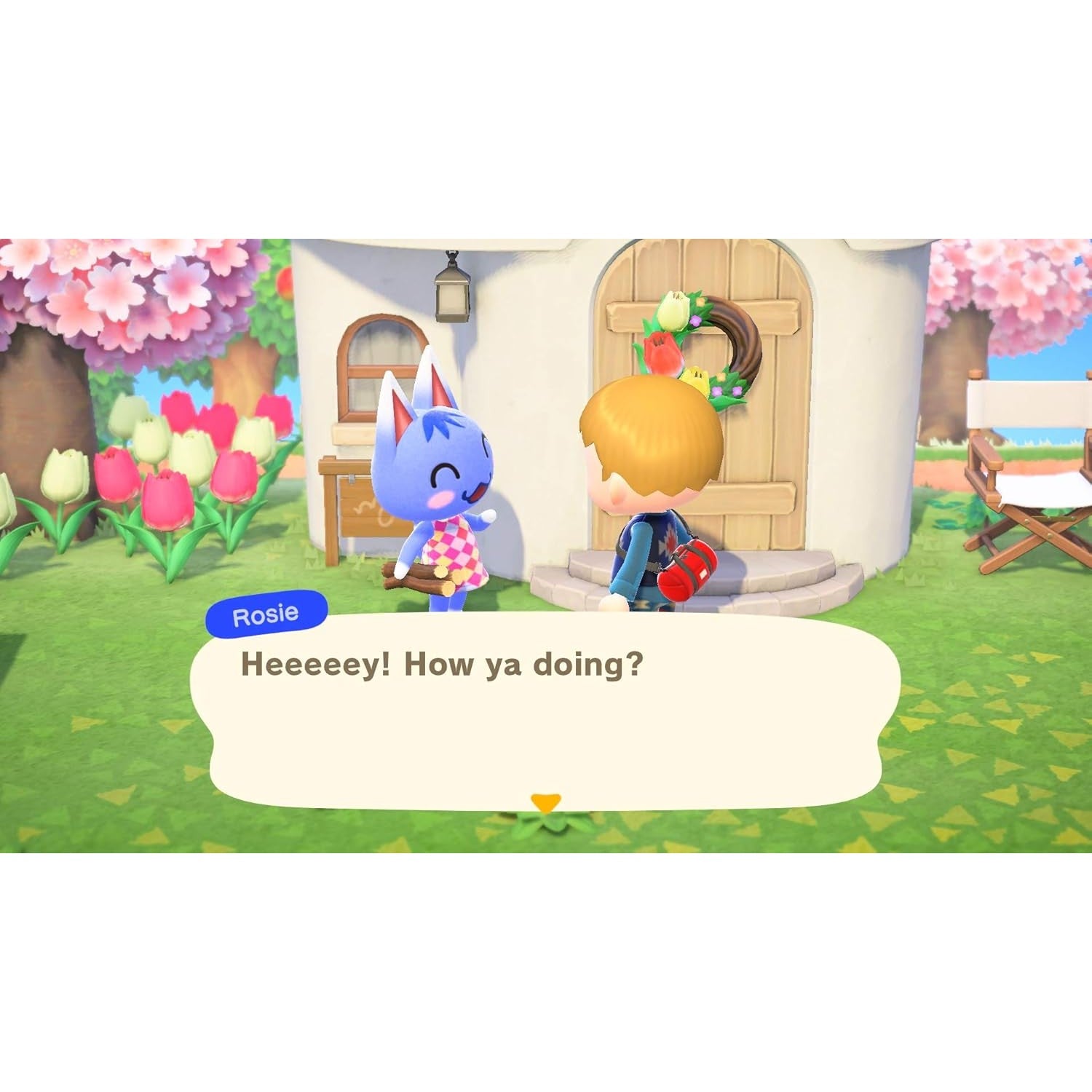 Animal Crossing: New Horizons - Nintendo Switch