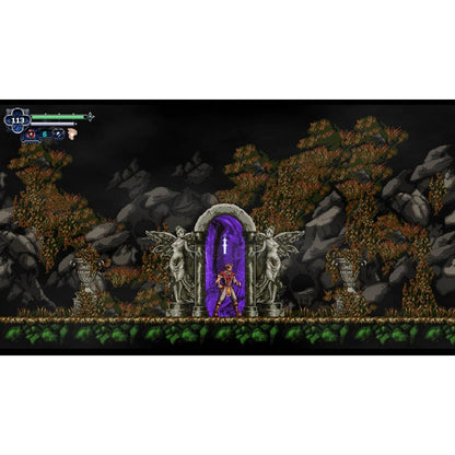 Chronicles of the Wolf - Nintendo Switch - PQube