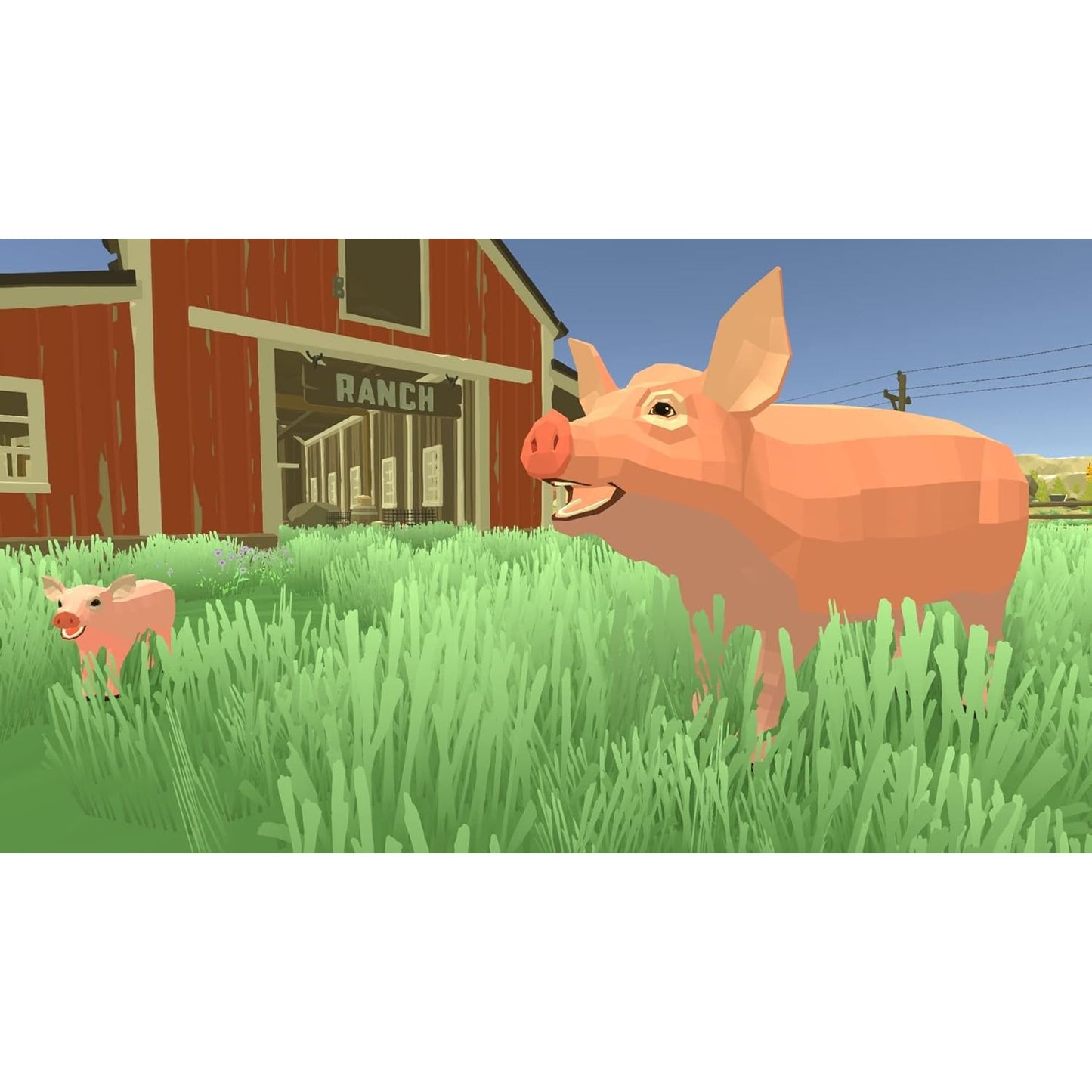 Harvest Days - Nintendo Switch - GS2 Games