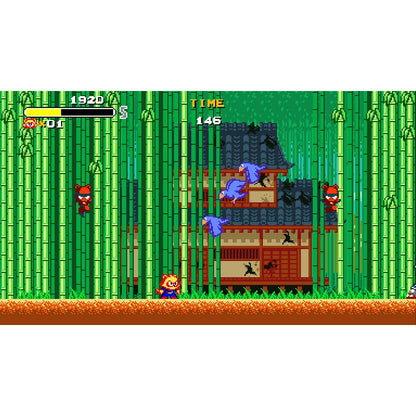 Tanuki Justice Standard - Nintendo Switch - Pixelheart / VGNYsoft