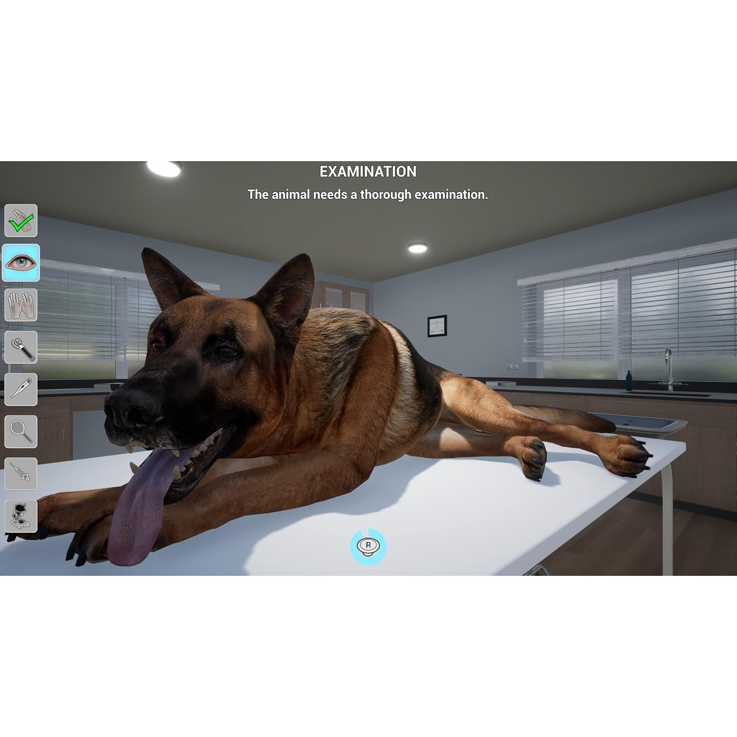 My Life: Pet Vet - Nintendo Switch - Mindscape