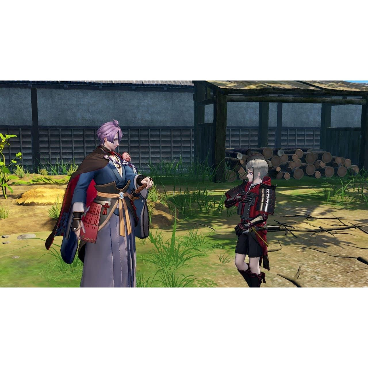 Touken Ranbu Warriors - Nintendo Switch - KT