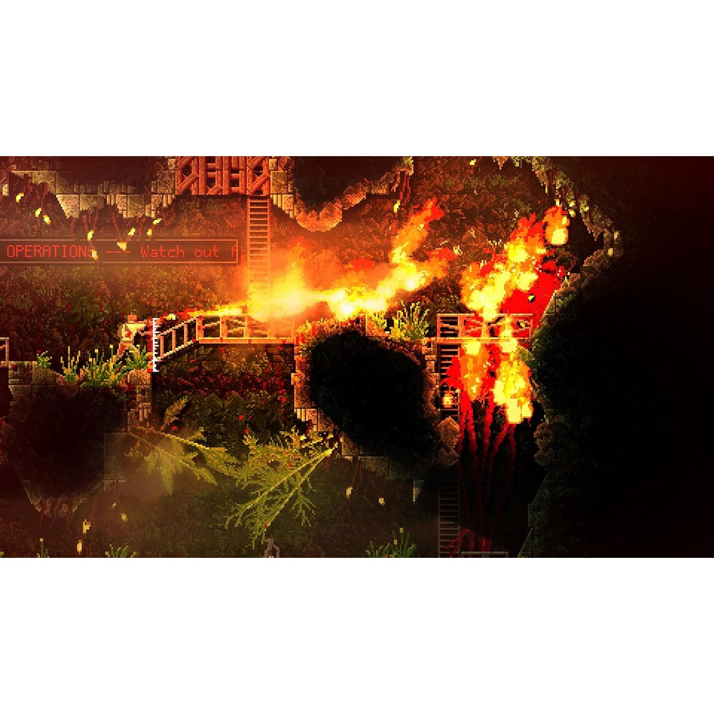 Carrion - Nintendo Switch - Devolver Digital
