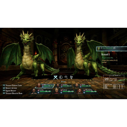 Wizardry: Proving Grounds of the Mad Overlord - Nintendo Switch - Digital Eclipse, Limited Run