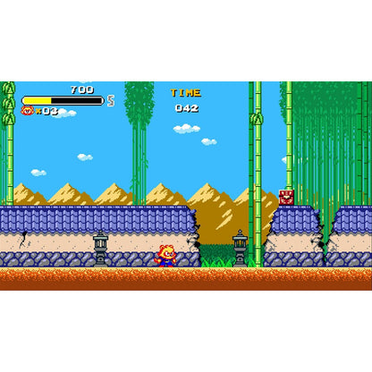 Tanuki Justice Standard - Nintendo Switch - Pixelheart / VGNYsoft