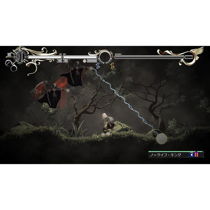 Record of Lodoss War: Deedlit in Wonder Labyrinth - PlayStation 4 - Red Art Games